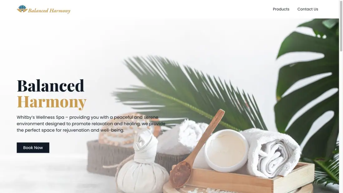 Balanced Harmony website homepage preview