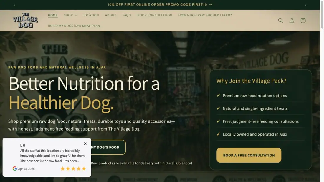The Village Dog Inc. website homepage preview
