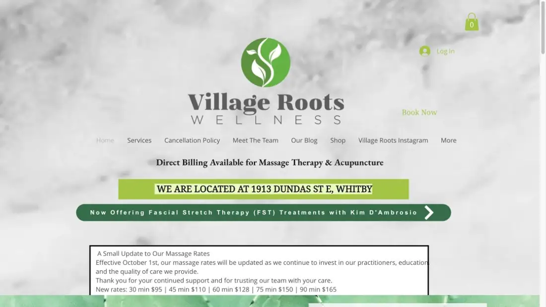 Village Roots Wellness website homepage preview