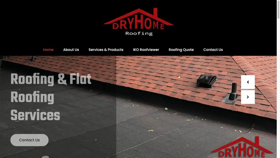 Dryhome Roofing website homepage preview