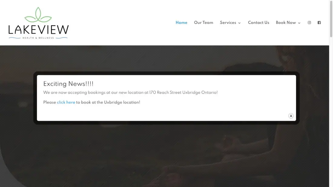 Lakeview Health and Wellness Inc website homepage preview