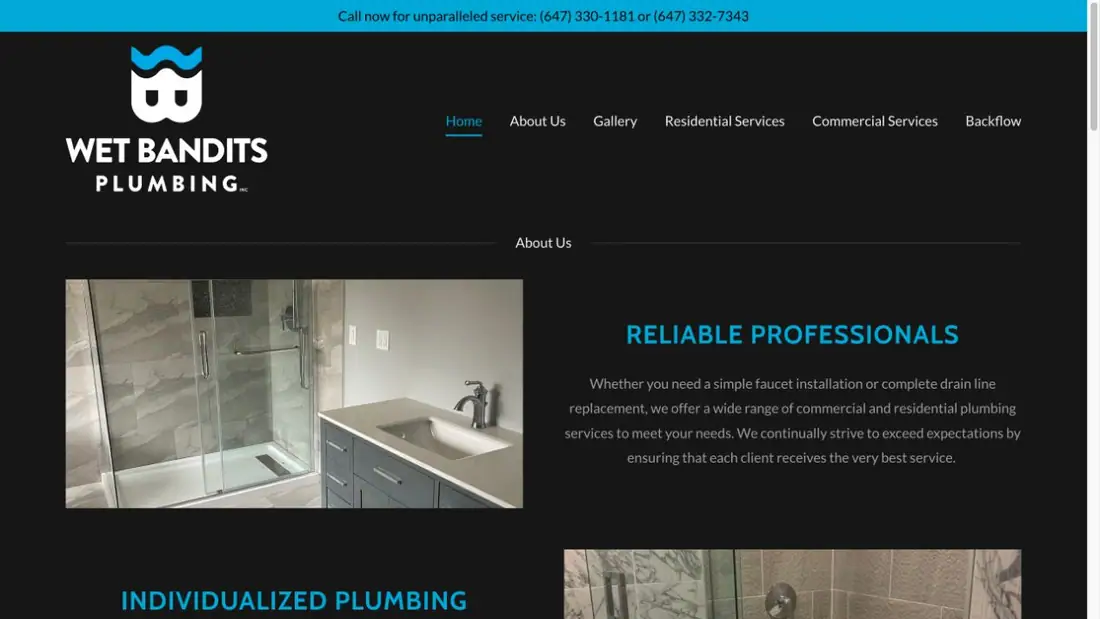 Wet Bandits Plumbing website homepage preview