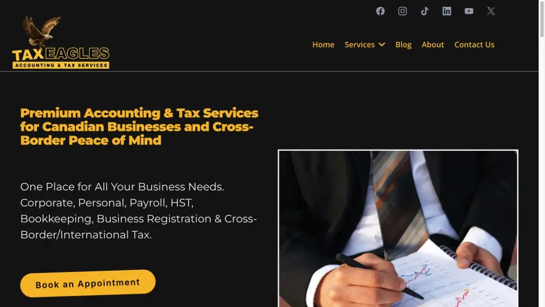 Tax Eagles website homepage preview